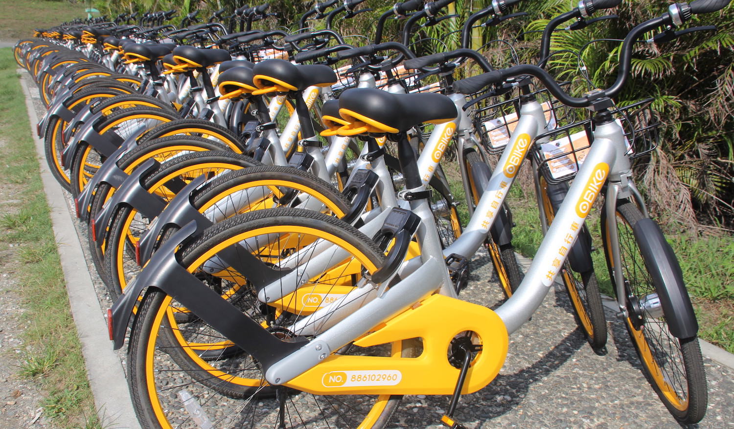oBikes in Taitung, Taiwan