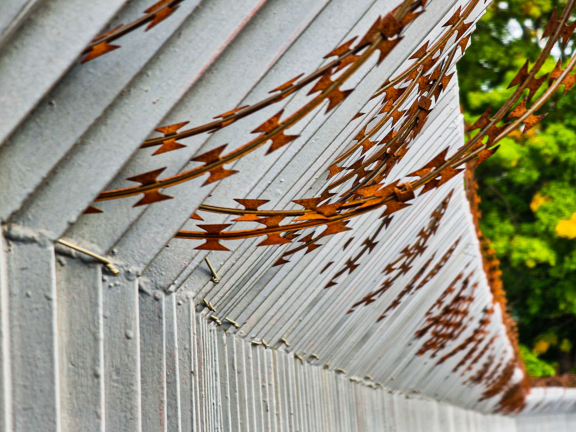 Nahaufnahme Stacheldraht