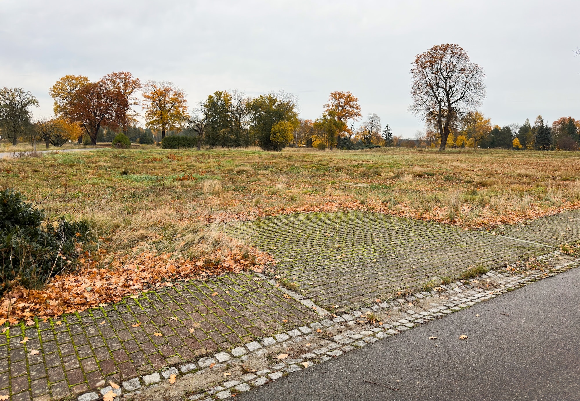 Eine gepflasterte Einfahrt führt von einer Straße auf eine leere Wiese