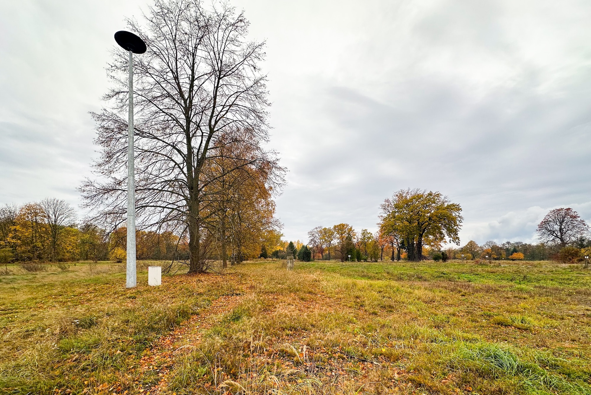 Auf einer Wiese steht ein großer Mast mit einer Feuerwehrsigeren oben drauf
