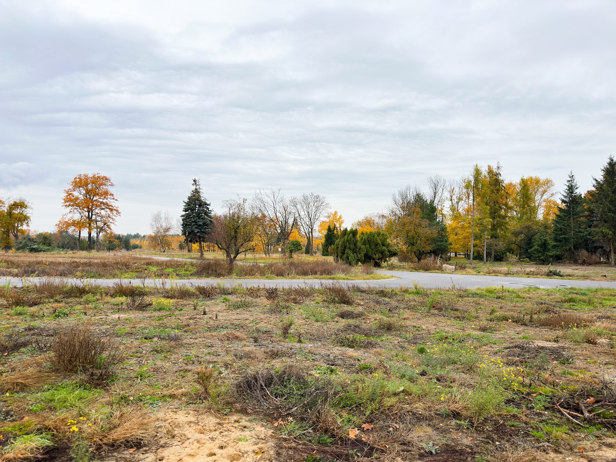 Blick über den Ort mit merheren solcher Stellen