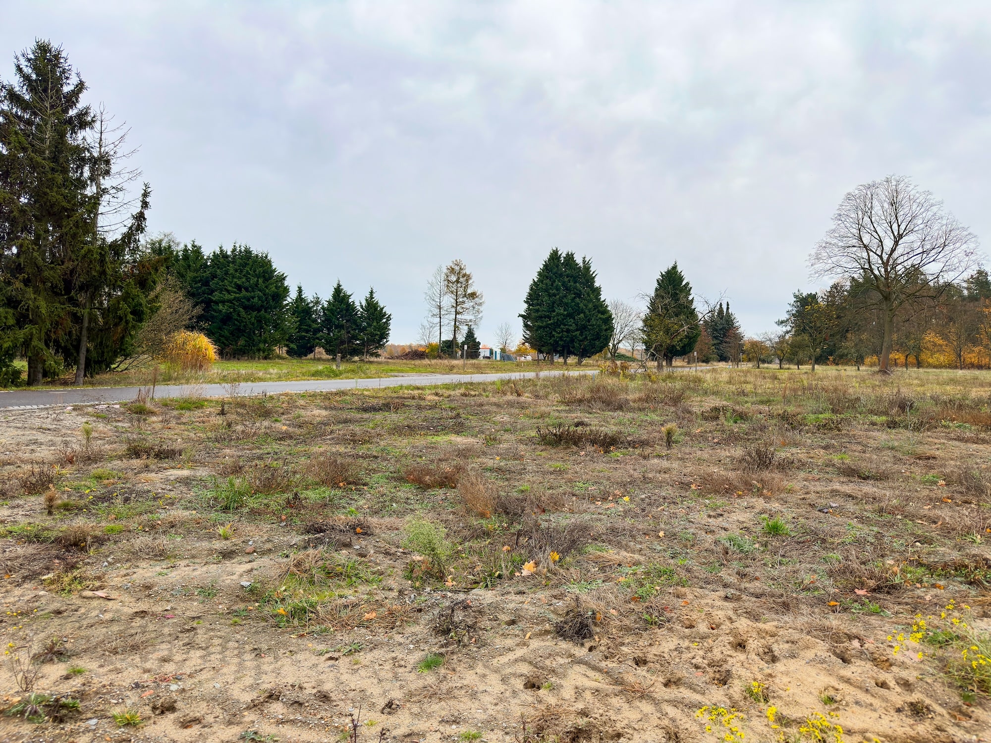 Eine weitere kahle und ebene Fläche mit Spurenabdrücken von Traktorreifen.