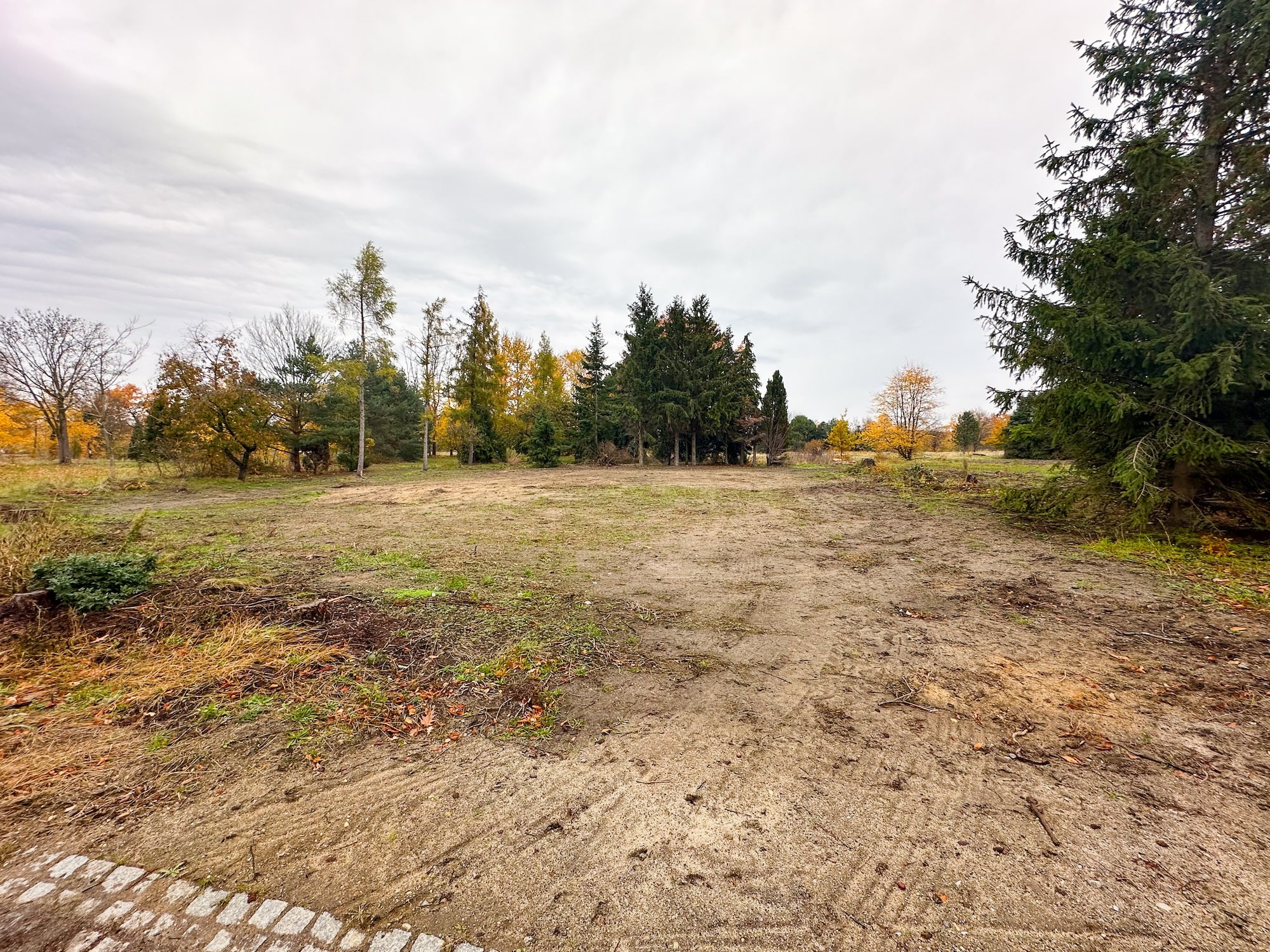 Blick von der Straße auf eine plane Fläche ohne bewuchs. Eingegrenzt von Baumreihen und Hecken. Auf dem Boden noch Spuren von Fahrzeugen.