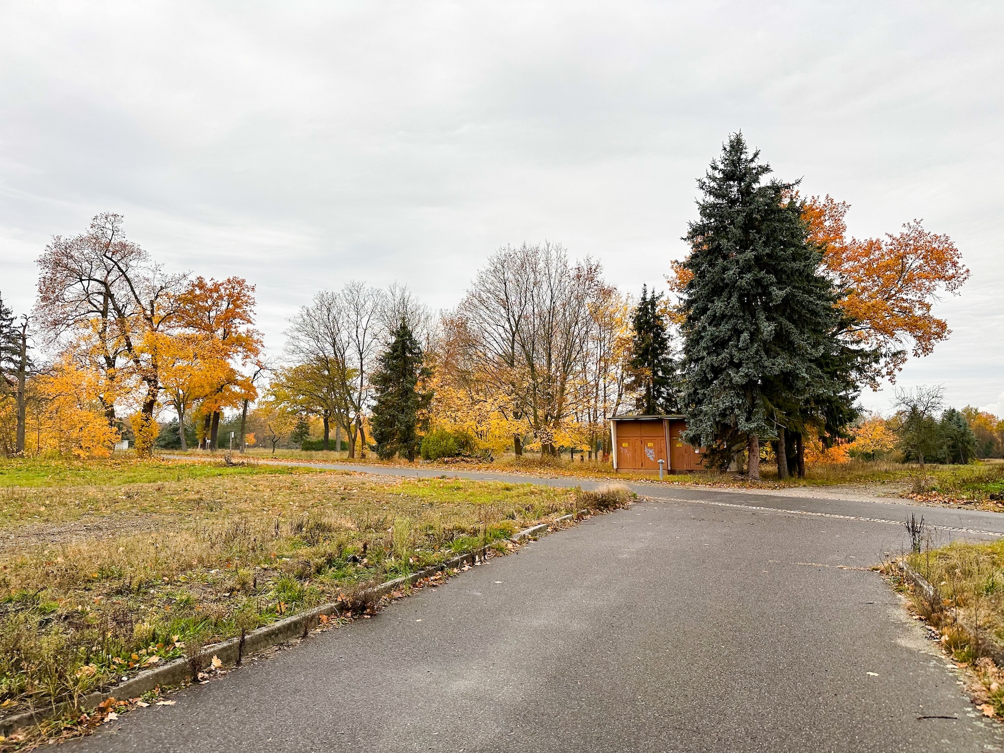 Ein Stromhäuschen steht zwischen ein paar Bäumen am Straßenrand