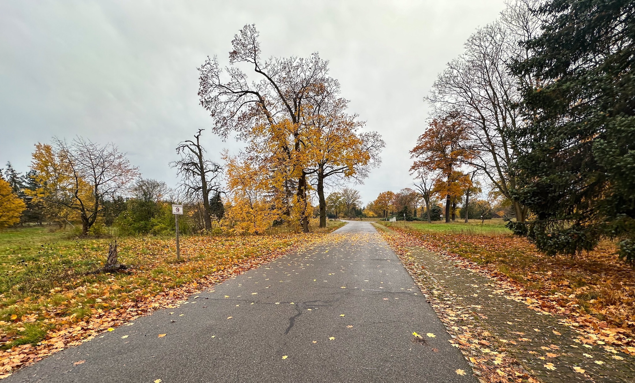 Eine Straße daneben ein Fußweg. Es sind keinerlei Gebäude zu sehen nur ein paar Schilder am Straßenrand