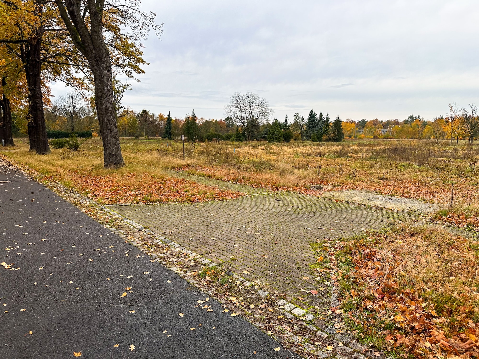 Eine gepflasterte Einfahrt führt auf eine leere Wiese