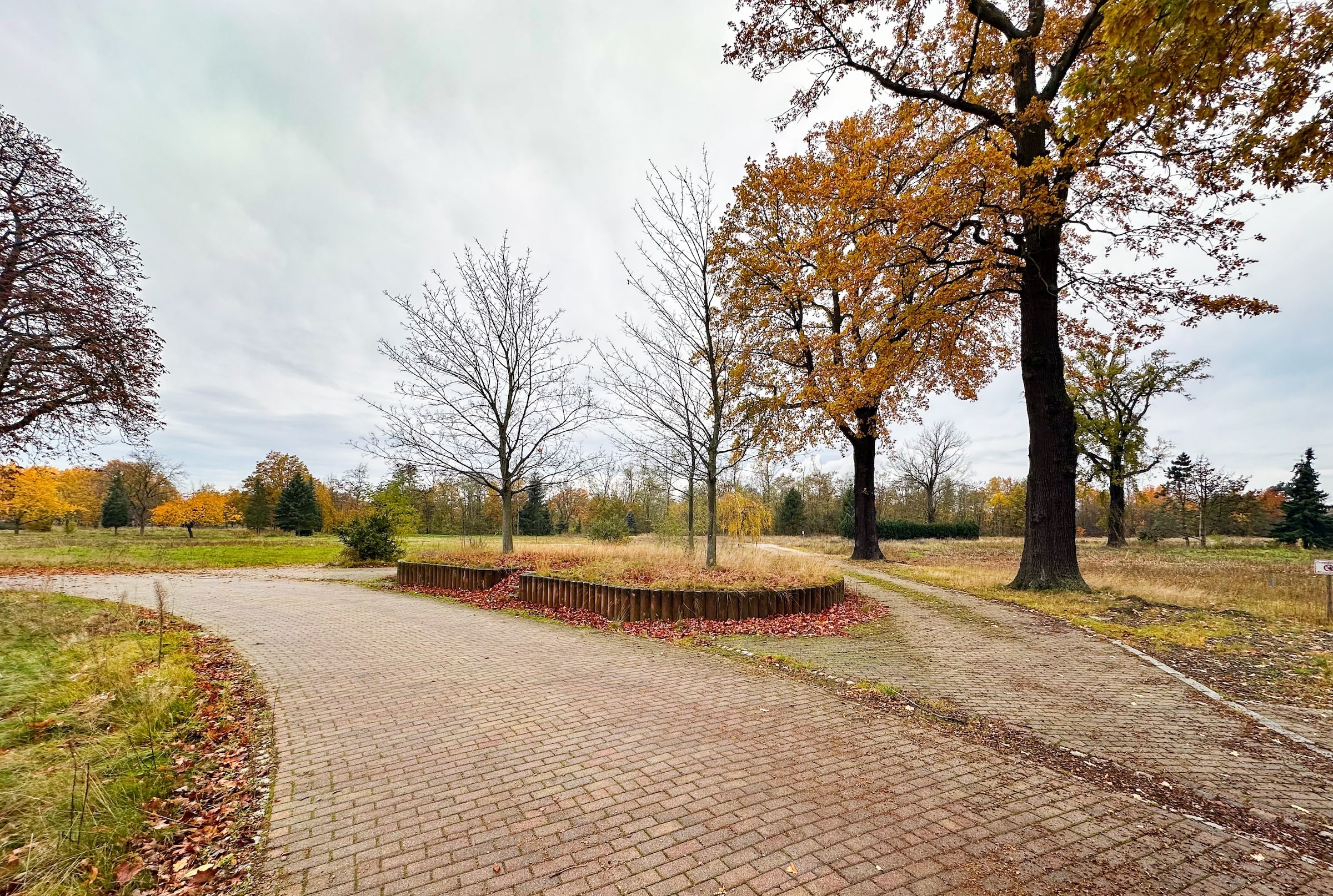 Ein etwas höher gelegter Bereich in einer art Verkehrsinsel