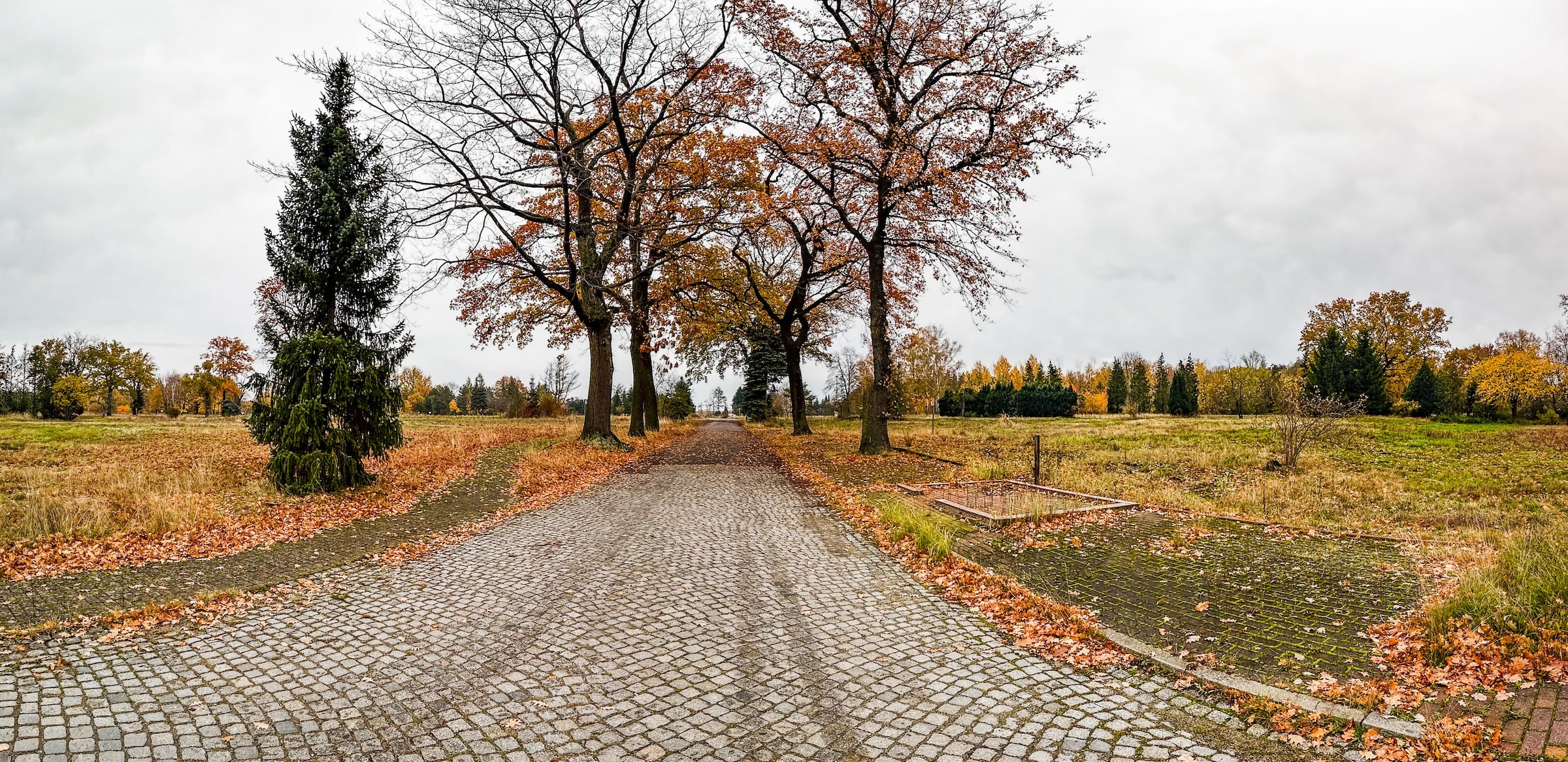 Blick entlang einer Dorfstraße mit Kopfsteinpflaster. Es stehen keine Häuser nur noch der Umriss eine Bushäuschens